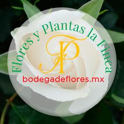 Flores y Plantas La Finca Mazatlán