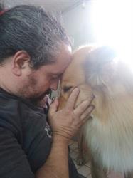 Estetica Canina Best Friend