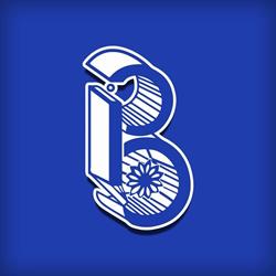 Balerytodo