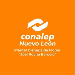 CONALEP 300 Joel Rocha Barocio "Cienega de Flores"