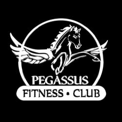 GYM Pegassus Fitness Club