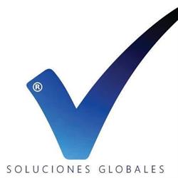 DGVISION