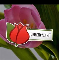 Palacio Floral, flores naturales