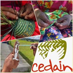 Centro De Desarrollo Alternativo Indigena A.C.