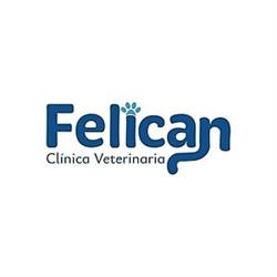Felican