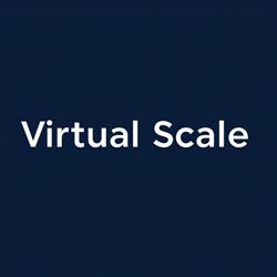 Virtual Scale