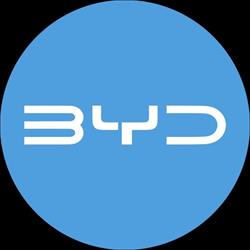 BYD Auto CLEBER