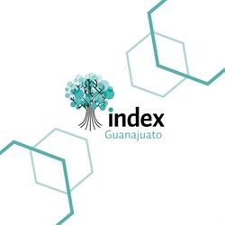 Index Guanajuato