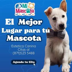 Mi Mascota