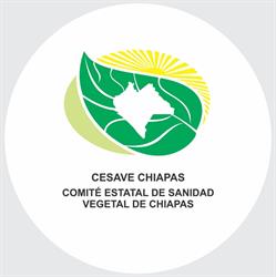 CESAVE CHIAPAS
