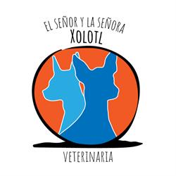 Veterinaria en Coyoacan El Señor y la Señora Xolotl