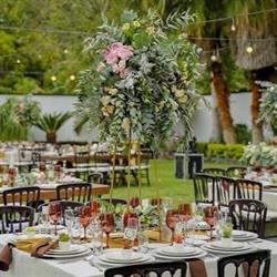 Layla eventos