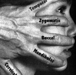 Orthomedical soluciones dentales
