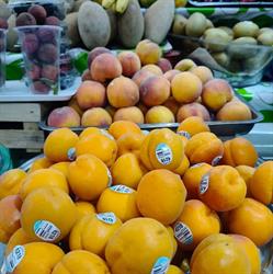 Mercado Progreso Nacional