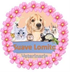 Veterinaria Suave Lomito