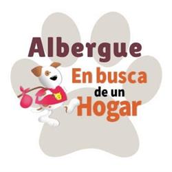 Albergue En busca de Un Hogar