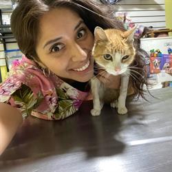 Amando Patitas