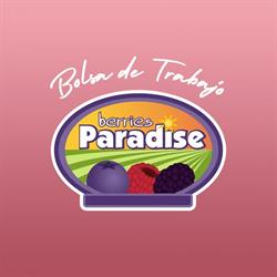 Berries Paradise