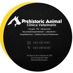 Prehistoric Animal