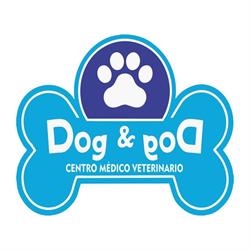 Dog&god