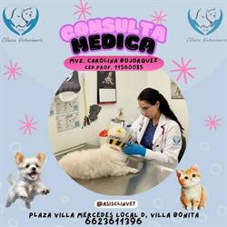 Asís Clínica Veterinaria