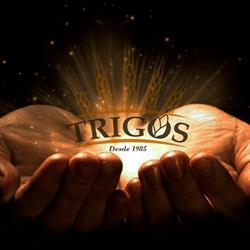 Dulces Típicos Trigos