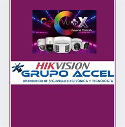 Grupo Accel