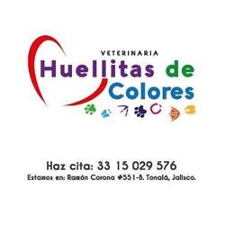 Huellitas de colores
