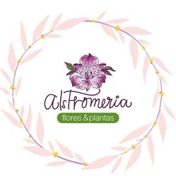 Alstromeria Flores & Plantas.