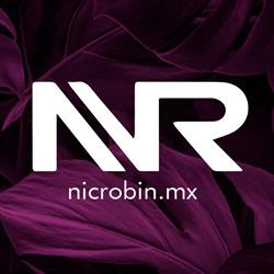 NIC ROBIN