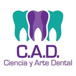 Ciencia y Arte Dental