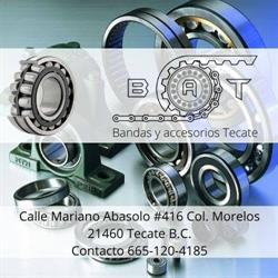 Bandas y accesorios TKT