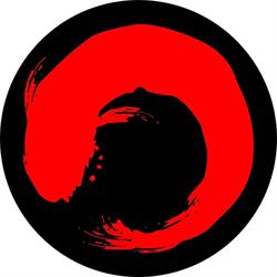 Aikido Reynosa