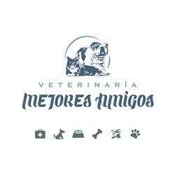 Mejores Amigos Veterinaria