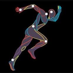 FISIO 22