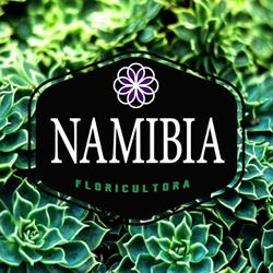 Namibia oficial