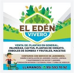 Vivero el Edén Oaxaca