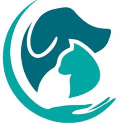 Doggy Vet Care