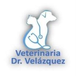 Veterinaria Dr. Velázquez