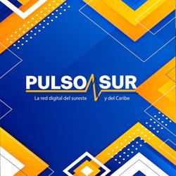 Pulso Sur Noticias