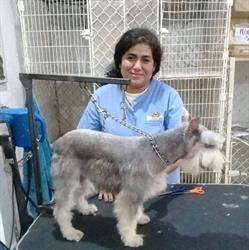 Veterinaria La Diana Cazadora