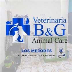 Veterinaria B&G Animal Care