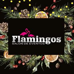 Flamingos