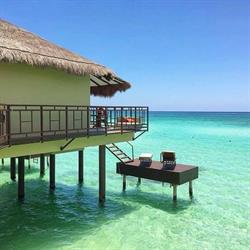 Witamy viajes