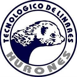 TECNM - Linares