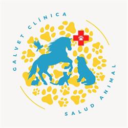 GalVet Clínica de Salud Animal