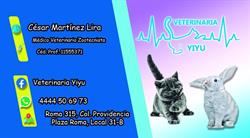 Veterinaria Yiyu