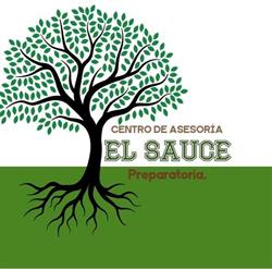Centro de Asesoría El Sauce Preparatoria