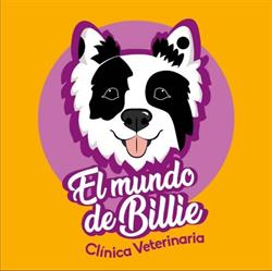El mundo de Billie