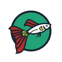 Acuario Guppy
